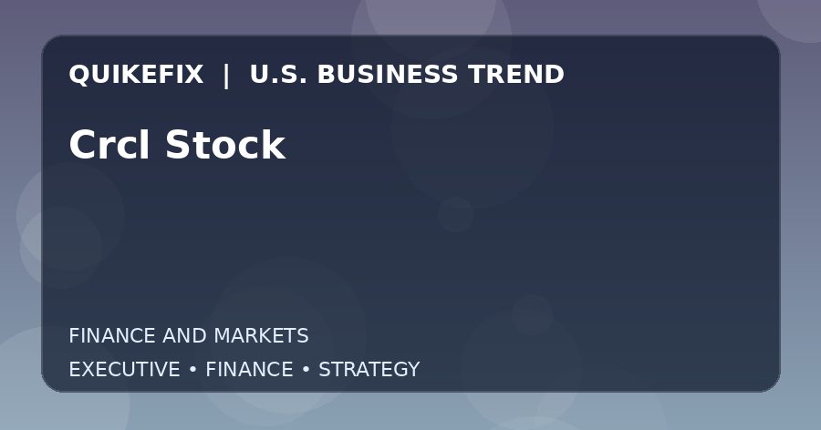 Crcl Stock: Business Risks, Opportunities and Next Steps