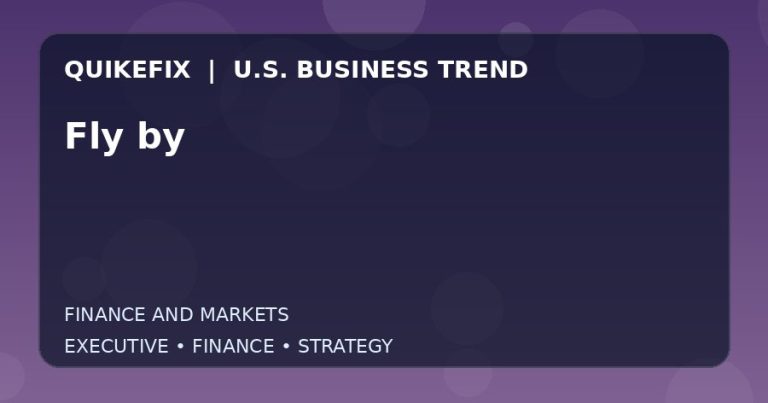 Fly by: Business Risks, Opportunities and Next Steps