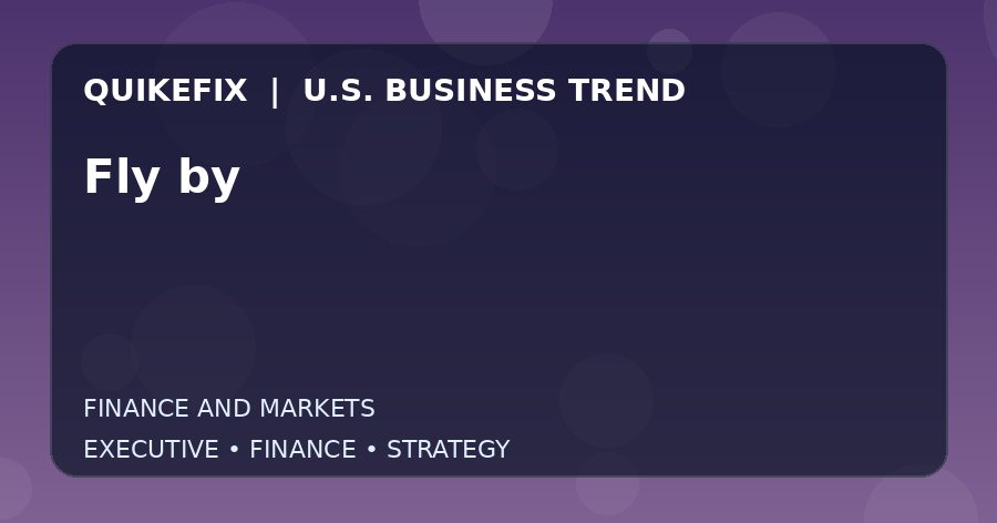 Fly by: Business Risks, Opportunities and Next Steps