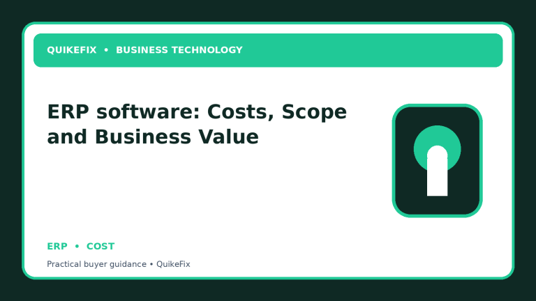 ERP software: Costs, Scope and Business Value