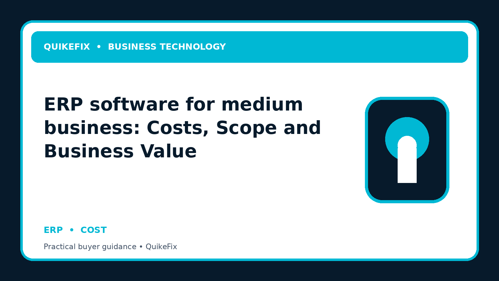 ERP software for medium business: Costs, Scope and Business Value